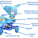 76173