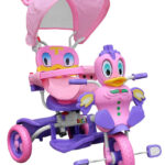 76177