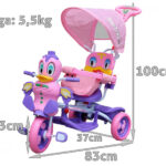 76179
