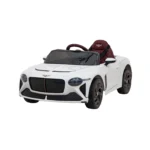 Bentley Bacalar Bialy 13