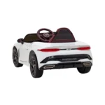 Bentley Bacalar Bialy 5