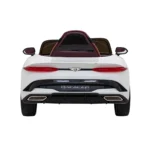 Bentley Bacalar Bialy 6