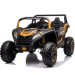 Buggy utv 2000 babywer 1
