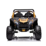 Buggy utv 2000 babywer 4