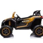 Buggy utv 2000 babywer 5